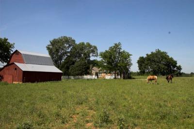 FieldTripFieldTripFarm 037-01.jpg