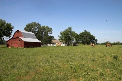 FieldTripFieldTripFarm 038-01.jpg