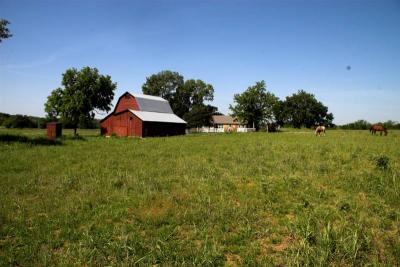 FieldTripFieldTripFarm 039-01.jpg
