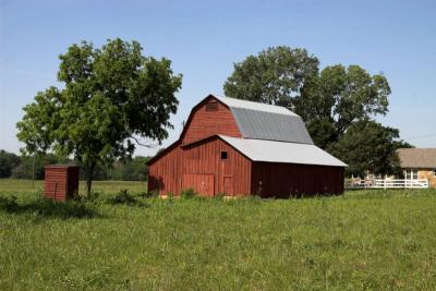 FieldTripFieldTripFarm 040-01.jpg
