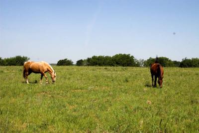 FieldTripFieldTripFarm 042-01.jpg