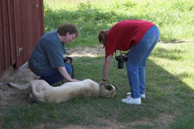 FieldTripFieldTripFarm 052-01.jpg