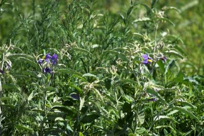 FieldTripFieldTripFarm 055-01.jpg