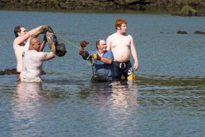 Noodling catfish