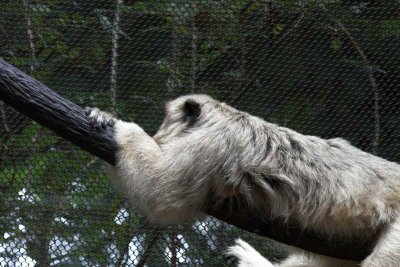zooIMG_5168.jpg