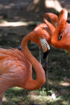 zooIMG_5364.jpg