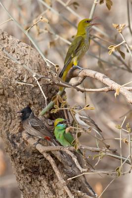 IMG_7232c.jpg