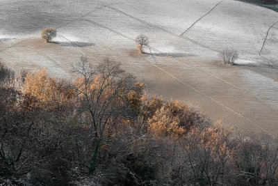 2010  December, first snow on Pesaro's hills