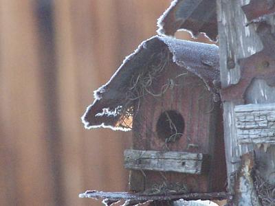 frosty birdhouse