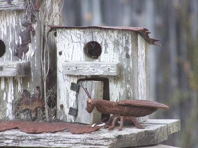 birdhouse bug