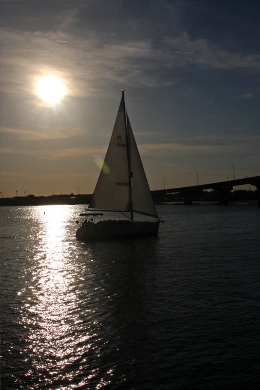 IMG_0238 copy.jpg