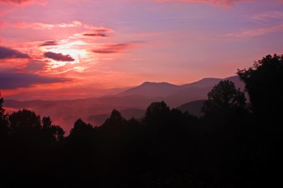 IMG_2748