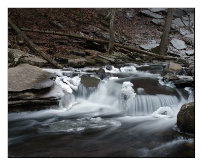 at lower greeter falls