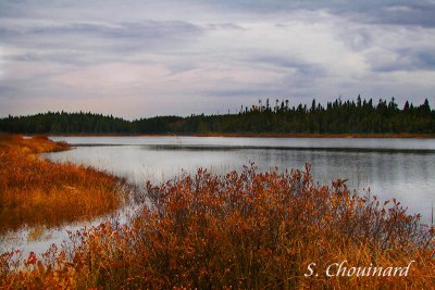 Lac  la  brnante - Twilight 