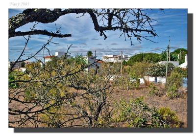 Condemned landscape