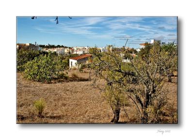 Typical landscape
