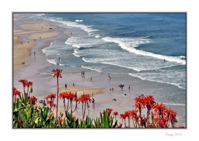 Colourful seaside