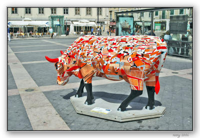 Lisbon cow