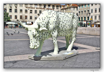  Braillenight Cow