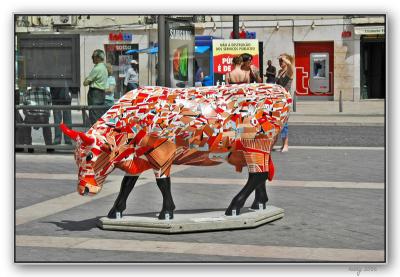 Lisbon Cow