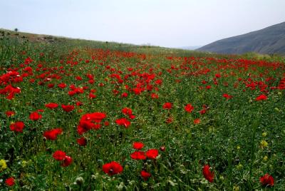 DSCF3586.JPG
