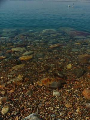 g4/46/618446/3/61037064.Movenpickdeadsea085.jpg