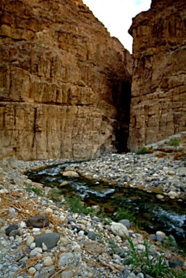 DSCF4594.JPG
