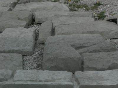 f6.JPG