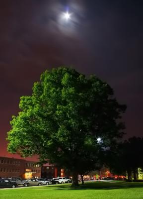 night shot III