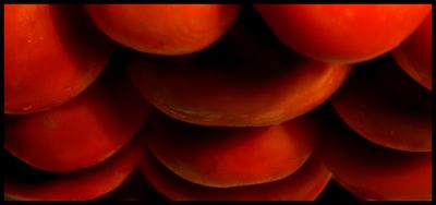 abstract food
