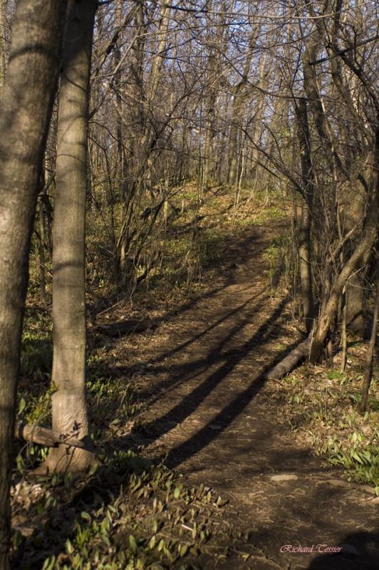 Parc Summit 2129.jpg