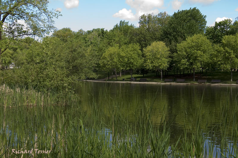 Parc Lafontaine PICT2437.jpg