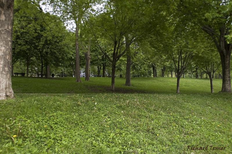 Parc Lafontaine PICT2474.jpg