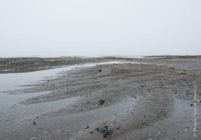 20110727 Vacance 2011 - Sainte Flavie pict0092.jpg