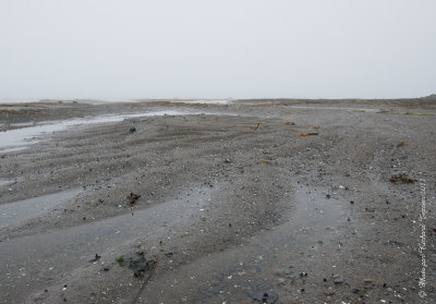 20110727 Vacance 2011 - Sainte Flavie pict0093.jpg