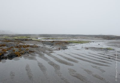 20110727 Vacance 2011 - Sainte Flavie pict0094.jpg