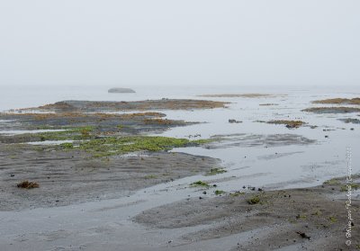 20110727 Vacance 2011 - Sainte Flavie pict0095.jpg