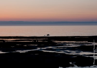 20110727 Vacance 2011 - Sainte Flavie pict0107.jpg