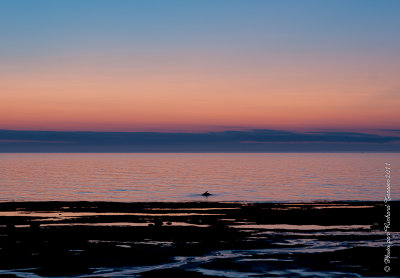 20110727 Vacance 2011 - Sainte Flavie pict0111.jpg