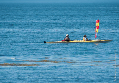 20110731 Vacance 2011 - Sainte Flavie pict0164.jpg