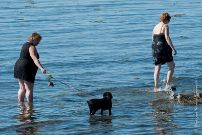 20110731 Vacance 2011 - Sainte Flavie pict0171.jpg