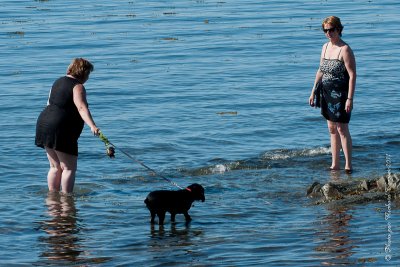 20110731 Vacance 2011 - Sainte Flavie pict0172.jpg