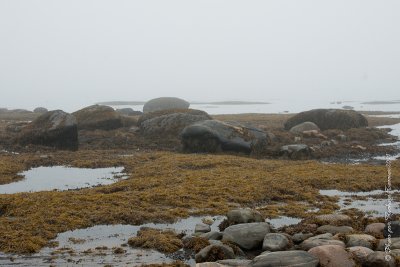 20110802 Vacance 2011 - Sainte Flavie pict0232.jpg