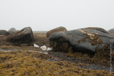 20110802 Vacance 2011 - Sainte Flavie pict0234.jpg