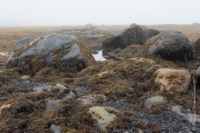 20110802 Vacance 2011 - Sainte Flavie pict0236.jpg