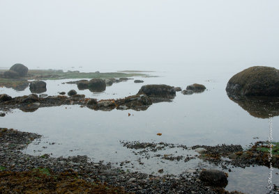 20110802 Vacance 2011 - Sainte Flavie pict0239.jpg