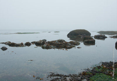 20110802 Vacance 2011 - Sainte Flavie pict0241.jpg