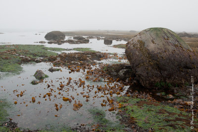 20110802 Vacance 2011 - Sainte Flavie pict0242.jpg