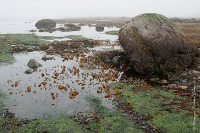 20110802 Vacance 2011 - Sainte Flavie pict0243.jpg