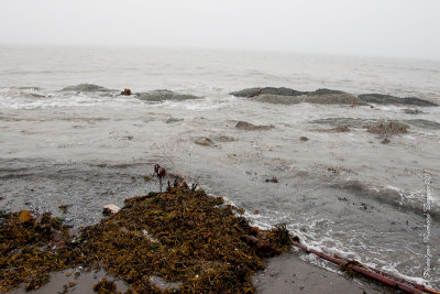 20110803 Vacance 2011 - Sainte Flavie pict0261.jpg